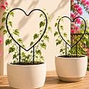 ecofynd 2 Pack Black Iron Garden Trellis for Climbing Plants | Rust Free Vine Plant Metal Support Wire with Black Coating | Holder Rack for Garden Stem Stalks Vines (Heart)