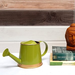 ecofynd 250 ml mini garden watering can for plants for kids wc6 kids with gold border light green