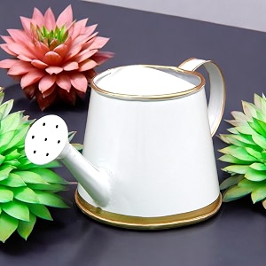 ecofynd 250 ml mini garden watering can for plants for kids wc6 kids with gold border white
