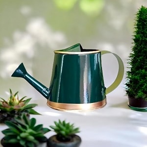 ecofynd 250 ml mini garden watering can for plants for kids wc6 kids with gold border green