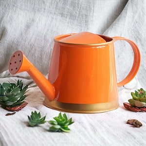 ecofynd 250 ml mini garden watering can for plants for kids flower watering pot for home gardening wc6 kids with gold border orange