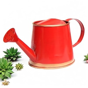 ecofynd 250 ml mini garden watering can for plants for kids wc6 kids with gold border red