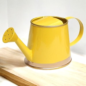 ecofynd 250 ml mini garden watering can for plants for kids flower watering pot for home gardening wc6 kids with gold border yellow
