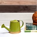 ecofynd 250 ml Mini Garden Watering Can for Plants for Kids (WC6: Kids with Gold Border, Light Green)
