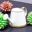 ecofynd 250 ml Mini Garden Watering Can for Plants for Kids (WC6: Kids with Gold Border, White)