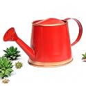 ecofynd 250 ml Mini Garden Watering Can for Plants for Kids (WC6: Kids with Gold Border, Red)