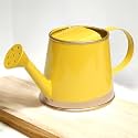 ecofynd 250 ml Mini Garden Watering Can for Plants for Kids, Flower Watering Pot for Home Gardening (WC6: Kids with Gold Border, Yellow)