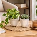ecofynd 3.5 Inch Ceramic Plant Pots with Drainage Hole, Modern Decorative Clay Flower Pots for Indoor Plants, Home Garden Decor for Living Room, Bedroom & Interior Spaces (Pack of 2, CPOT046-WHT)