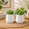 ecofynd 3.5 Inch Ceramic Plant Pots with Drainage Hole, Modern Decorative Clay Flower Pots for Indoor Plants, Home Garden Decor for Living Room, Bedroom &amp; Interior Spaces (Pack of 2, CPOT048-WHT)