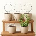 ecofynd 5 Pack Black Iron Garden Metal