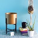 ecofynd Centuria Mid Century Metal Plant Pot Set | Indoor Round Planter with Metal Stand (Pot: Gold, Stand: Black, Large)