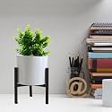 ecofynd 4 inches Nia Metal Plant Pot with Stand, Pack of 1 | Indoor Outdoor Home Decor Item for Garden Plants Flower, Balcony, Patio, Living Room, Garden, Bedroom (White Pot, Black Stand)