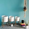 ecofynd Centuria Mid Century Metal Plant Pot Set | Indoor Round Planter with Metal Stand (Pot: White, Stand: Gold, All Three Sizes)