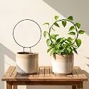 ecofynd Metal Garden Trellis for Climbing Plants