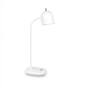 EcoLink CFL Cooler
