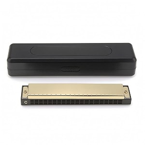 ecomistiq 24-hole harmonica key of c harmonica with case beginner-friendly mouth organ portable for beginners students music lessons travel gold harmonicas folk amp world  wind amp woodwind