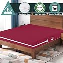 Mattress Protector Zippered (Queen_75x60_8, Maroon)