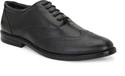 EEGO ITALY Plus Size Brogue Lace Up