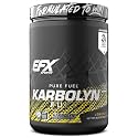 EFX Sports Karbolyn Fuel | Fast-Absorbing Carbohydrate Powder | Carb Load, Sustained Energy, Quick Recovery | Stimulant Free | 18 Servings (Lemon Ice)
