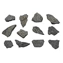 EISCO 12PK Raw Carbonaceous Shale, Sedimentary Rock Specimens - Approx. 1" - Geologist Selected &amp; Hand Processed - Great for Science Classrooms - Class Pack