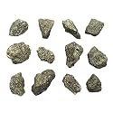 EISCO 12PK Raw Pyrite, Mineral Specimens - Approx. 1" - Geologist Selected &amp; Hand Processed - Great for Science Classrooms - Class Pack