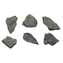 EISCO 6PK Raw Carbonaceous Shale, Sedimentary Rock Specimens - Approx. 1" - Geologist Selected & Hand Processed - Great for Science Classrooms - Class Pack