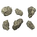 EISCO 6PK Raw Pyrite, Mineral Specimens - Approx. 1" - Geologist Selected &amp; Hand Processed - Great for Science Classrooms - Class Pack