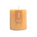 EKAM Caramel Pillar Soy Wax Scented Candle, 218 Grams, 30 Hours Burn Time, Long Lasting Premium Candles, Ideal for Home Decor, Gifting & Aromatherapy