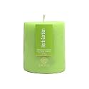 EKAM Herb Garden Pillar Soy Wax Scented Candle, 218 Grams, 30 Hours Burn Time, Long Lasting Premium Candles, Ideal for Home Decor, Gifting &amp; Aromatherapy