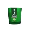 EKAM Forest Pine Votive Soy Wax Scented Candle, 40 Grams, 10 Hours Burn Time| Long Lasting Premium Candles | Ideal for Home Decor | Gifting &amp; Aromatherapy (Pack of 12)
