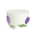 EKAM Lavender Scented 3 Wick Refill Candle| Ideal for Home Decor &amp; Gifting| Lead-Free Wick| Smokeless| Sootless| 35 Hours Burn time|256 g