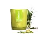 EKAM Lemongrass Votive Soy Wax Scented Candle, 40 Grams, 10 Hours Burn Time| Long Lasting Premium Candles | Ideal for Home Decor | Gifting &amp; Aromatherapy