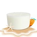 EKAM Ocean Dream Scented 3 Wick Refill Candle| Ideal for Home Decor & Gifting| Lead-Free Wick| Smokeless| Sootless| 35 Hours Burn time|256 g