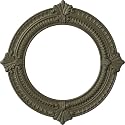 Ekena Millwork CM13BNPTF Benson Ceiling Medallion, Painted Turtle