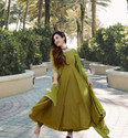 Ekta Flared/A-line Gown