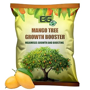 elamgreen mango plant fertilizer  fertilizer for mango tree fruit plants amp garden use  ideal for pots grow bags amp outdoor gardening 1kg
