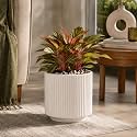 elaris Elegant Ribbed Ceramic Planter for Indoor