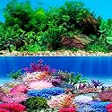 ELEBOX Aquarium Background Stickers 20x48 Inch 2 Sided Sea Algae Water Plants Aquarium Background Decoration