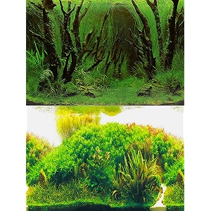 elebox fish tank stickers wallpaper seaweed background aquarium background decoration water plants fish tank background 15734x 4034