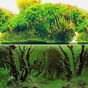 elebox new 2034 x 4834 fish tank background paper wallpaper 2 sided colorful seaweed water plants aquarium poster decorations