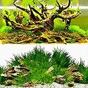 ELEBOX New 20" x 48" Fish Tank Background Paper Wallpaper 2 Sided Colorful Seaweed Water Plants Aquarium Poster Decorations