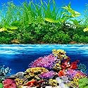 ELEBOX New 20" x 48" Fish Tank Background Paper Wallpaper 2 Sided Colorful Seaweed Water Plants Aquarium Background Picture