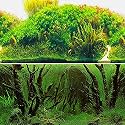 ELEBOX New 20" x 48" Fish Tank Background Paper Wallpaper 2 Sided Colorful Seaweed Water Plants Aquarium Poster Decorations