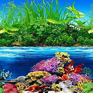 elebox new 2334 x 7134 fish tank background paper wallpaper 2 sided colorful seaweed water plants aquarium background picture