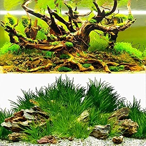elebox new 2334 x 7134 fish tank background paper wallpaper 2 sided colorful seaweed water plants aquarium poster decorations