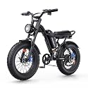 Electric Bike for Adults, 1500W Peak, 20" x 4.0" Fat Tire Ebike