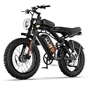 Electric Bike for Adults - 30MPH, 70-100 Mile (PAS Mode) Fat Tire E-Bike, 48V 15Ah/25Ah Removable Battery, Full Suspension, LCD Display, 20" All-Terrain Tires Electric Bicycle for Off-Road Commute
