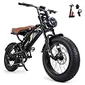 Electric Bike for Adults — 750W Peak Motor ,48V15Ah Removable Battery Ebike
