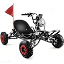 Electric Go Kart, 2000W Motor Go Kart for Adults &amp; Kids with Premium Steel Tubular Frame, 3 Speed Off-Road Kart with 6'' Tires, Hydraulic/Rear Disc Brake, Up to 30MPH (53''Lx36''Wx33''H)