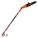 Electric Pole Saw 8-Inch Corded Pole Saw for Tree Trimming